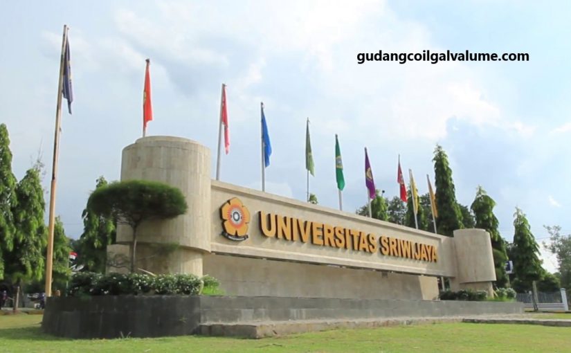 5 Universitas Sumatera Terbaik 2023 Versi Webometrics